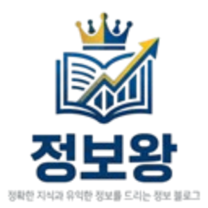 정보왕